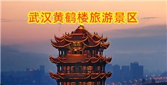 后入鸡女裸体操