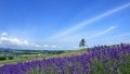 强奸，黑丝萝莉一区二区红桃日本一地6日游  境外旅游 6880元/人